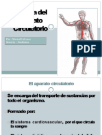 4.-Sistema Circulatorio