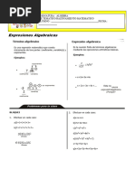 N1 Expresiones Algebraicas