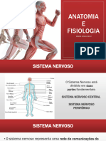 Aula 4 - Sistema Nervoso