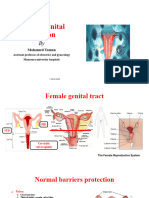 Female Genital Infection: Mohamed Taman