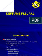 Derrame Pleural