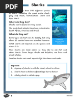 All About Sharks Reading Comprehension