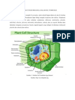 Macam Dan Fungsi Organela Dalam Sel Tumbuhan