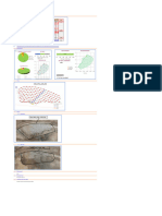 D&B Parameters Analysis