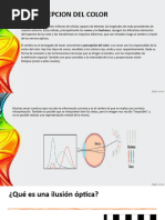 2.1 C. Percepcion Del Color