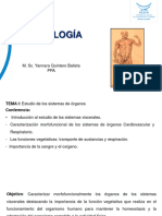 Clase 4 S ViscCardiov Resp Tema 1