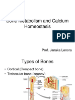 Bone Metabolism and Calcium Homeostasis