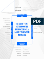 La Salud y Sus Determinantes, Promoción de La Salud y Educación Sanitaria