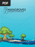 Module 07-Mangrove-30JUL