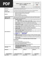 Pets-001 DHV Operacion y Carguio Excavadora