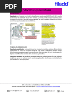 Tema Endocitosis y Exocitosis