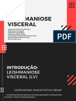 Leishmaniose Visceral