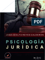 Libro de Psicologia Del Derecho - Compressed