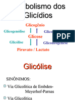 Glicolise