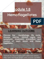 Hemoflagellates