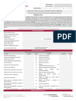 Formato de Consulta - 2024