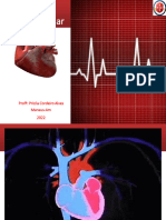 1.1.sistema Cardiovascular