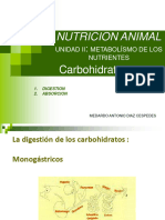 Unidad Ii Metabolísmo de Los Nutrientes - Digestion y Absorción de Los Carbohidratos y Lípidos