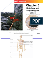 Module 6A - Histology and Physiology of Bones