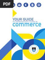 Your Guide To Undergraduate Studies in Commerce