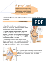 Apuntes Artrología