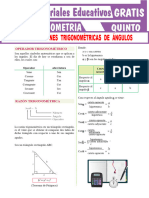 Ejercicios de Razones Trigonométricas de Ángulos Agudos para Quinto Grado de Secundaria