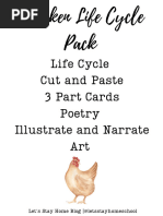 Chicken Life Cycle Freebie