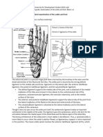 Student Guide Examination of The Ankle and Foot 2015