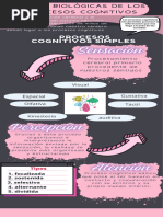 Infografia Procesos Cognitivos