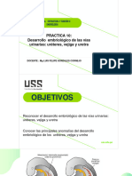 Sem 10 Práctica Aparato Renal Iii - DR Gonzales