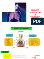 Aparato Respiratorio Vick