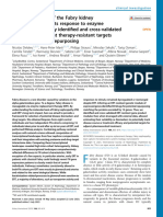 Systems Analyses of The Fabry Kidney Transcriptome