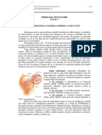 Curs 3 - Psihologia Dezvoltarii