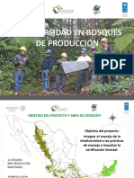 Biodiversidad en Bosques de Producción