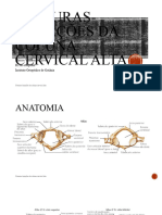 Fraturas-Luxações Da Coluna Cervical Alta