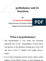 The Hypothalamus and Their Functions