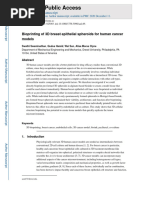 2020, Bioprinting of 3D Breast Epithelial Spheroids For Human Cancer Models