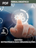 Gestão Estratégica Das Organizações