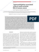 Epigenetic snoRNA Regulation - 2