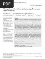 The Nightjar and The Ant Intercontinental Migratio