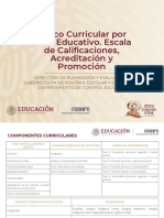 Mesa Dce Marco Curricular Rne23