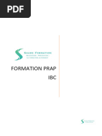 32-Ma-Programme Prap Ibc v01