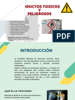 Presentacion de Seguridad