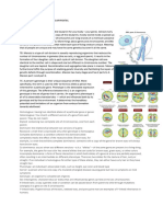 Biology Chapter 7 Notes and Summaries