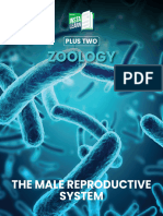 Human Reproduction