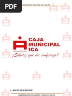 Caja Muni D Ica Imprim