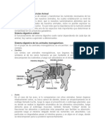 Tipos de La Nutrición Animal