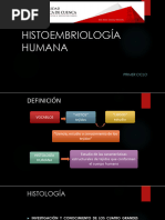 Desarrollo Embrionario