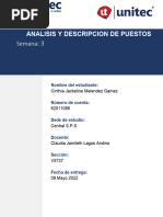 Analisis y Descripcion de Puestos