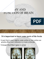 Structureofbrain 1